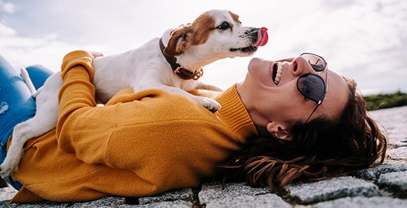 En kvinna ligger och skrattar på marken medan en liten hund slickar henne i ansiktet